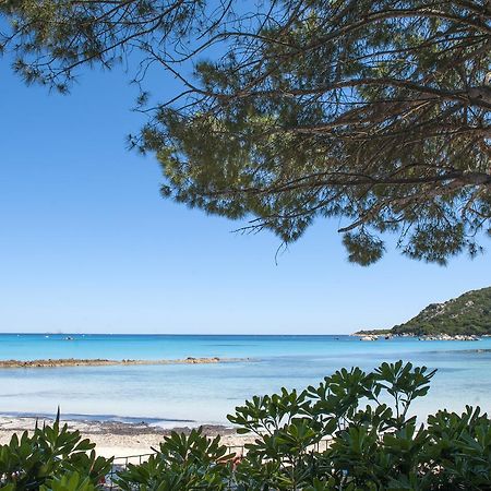 Residence Mobydick Porto-Vecchio  Eksteriør billede