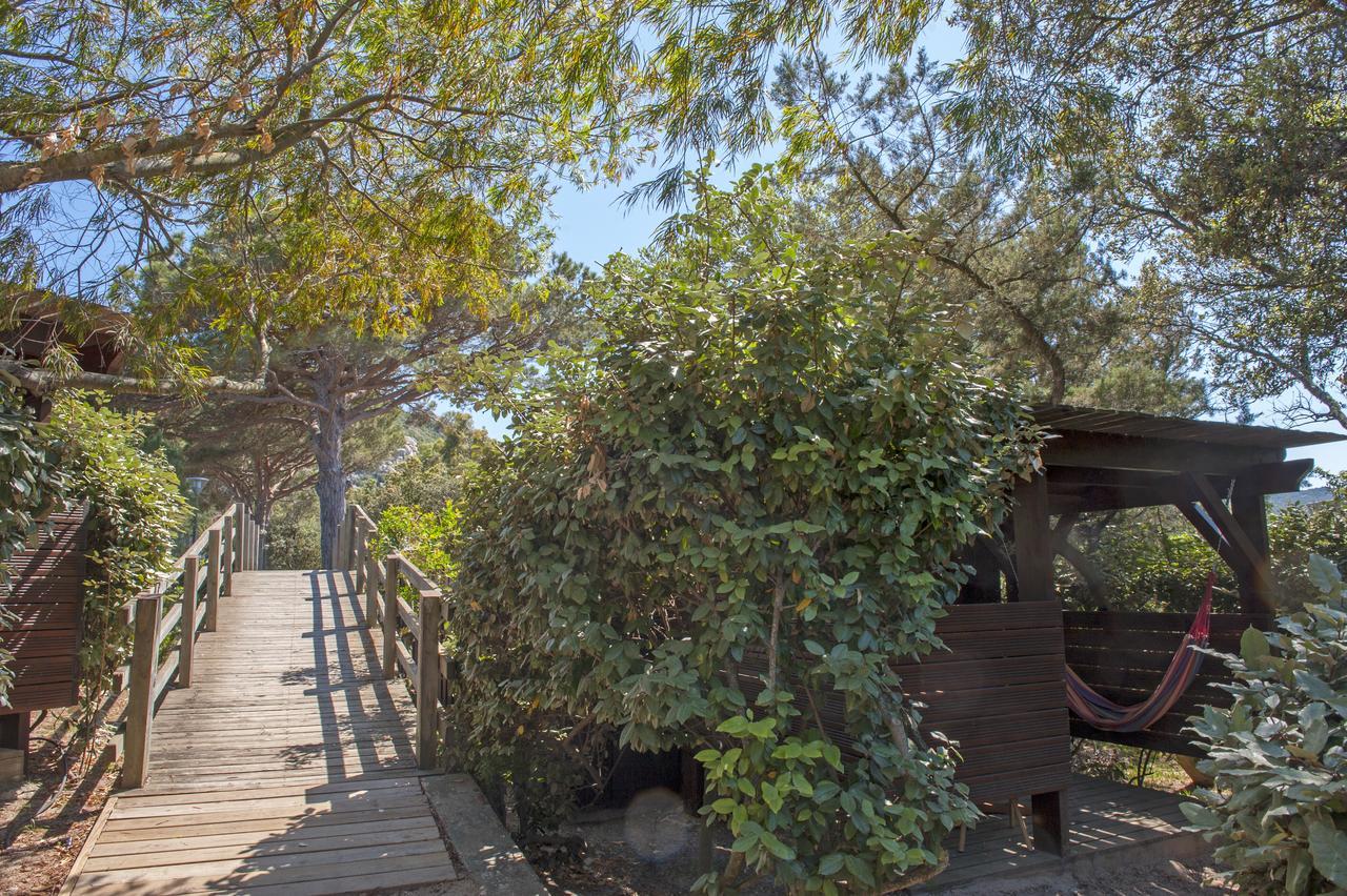 Residence Mobydick Porto-Vecchio  Eksteriør billede
